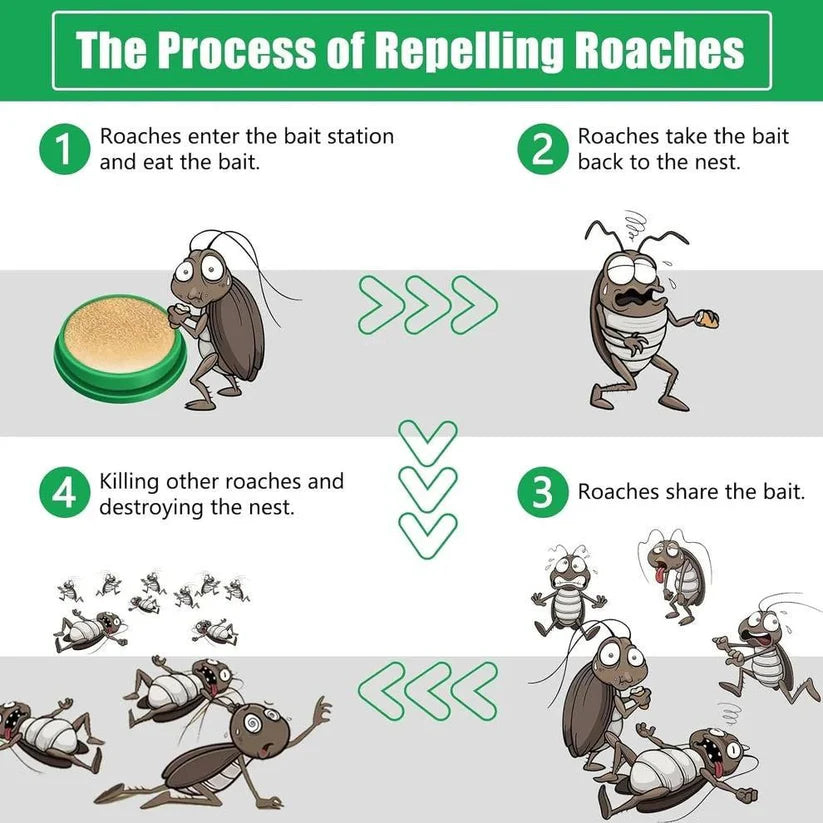 Cockroach Killer Gel/Powder ( Pack of 2, 4, 8 )